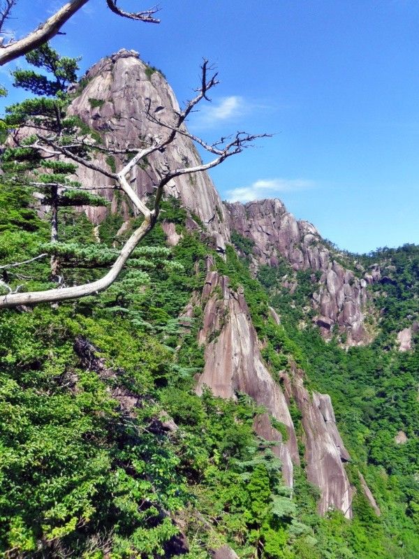 大崩山登山12年夏 A Fのblog