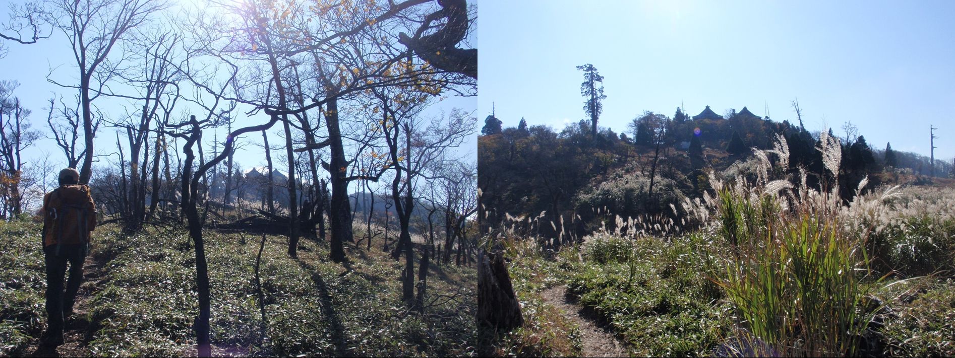 英彦山登山 モアイ像コース A Fのblog 英彦山登山 モアイ像コース A Fのblog