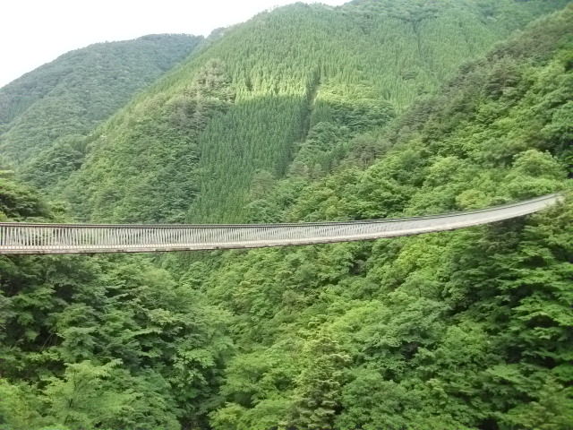 梅の木轟公園吊り橋 A Fのblog