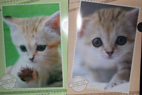 フルリーナ 旅巡り美味めぐり