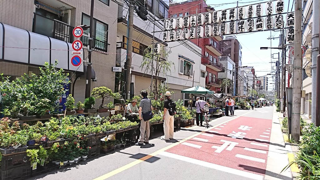 お富士さんの植木市 浅草 続 下町外飯徒然草 お富士さんの植木市 浅草 続 下町外飯徒然草