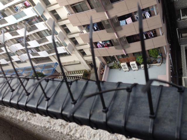 鳩との戦い 超空室対策 株 服島秀信のブログ