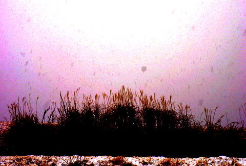 DSC01387