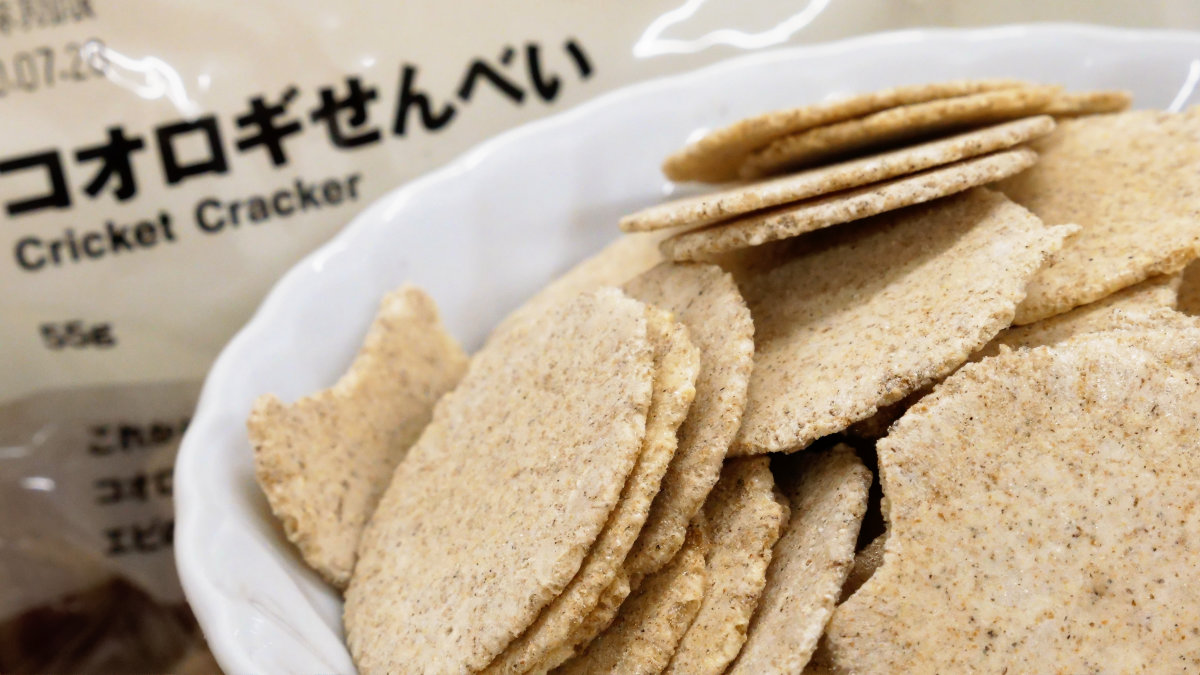 コオロギの生産工場に潜入して食べてみた結果・・・
