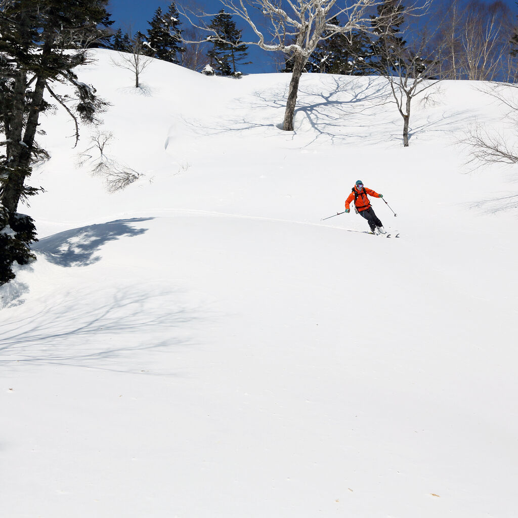「片方のスキー板をなくした」山中で遭難・・・
