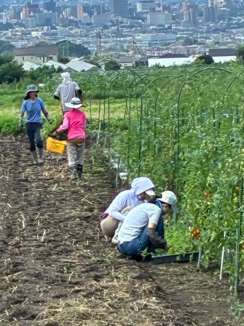 19草取り5