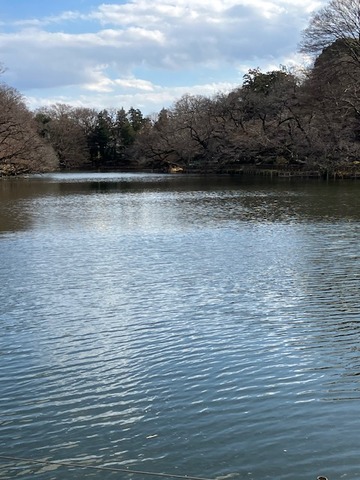 07公園5