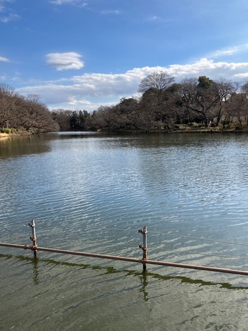 07公園4