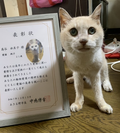 桃子ちゃん