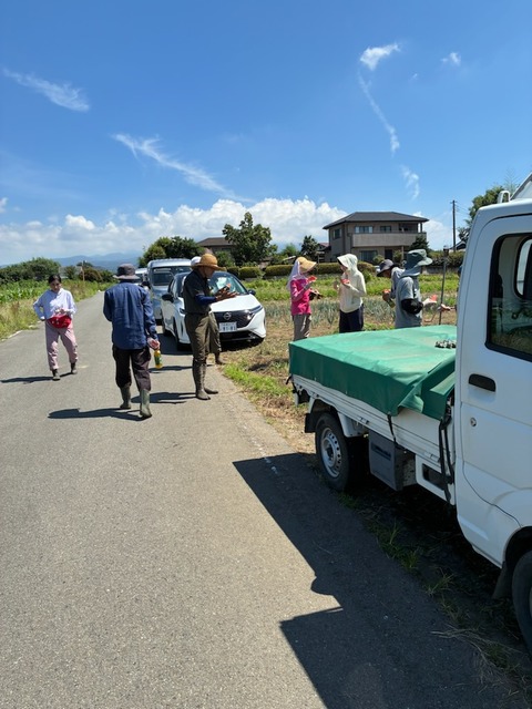 20集合