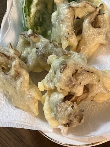 31舞茸