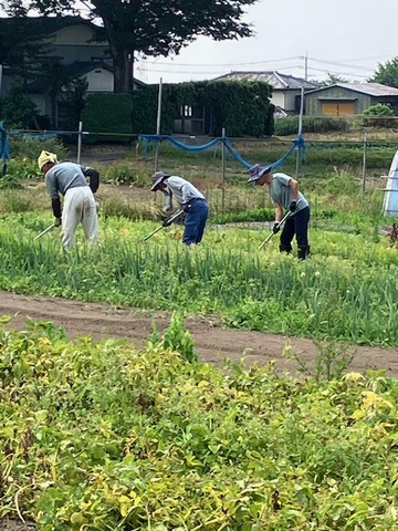 16応援隊4