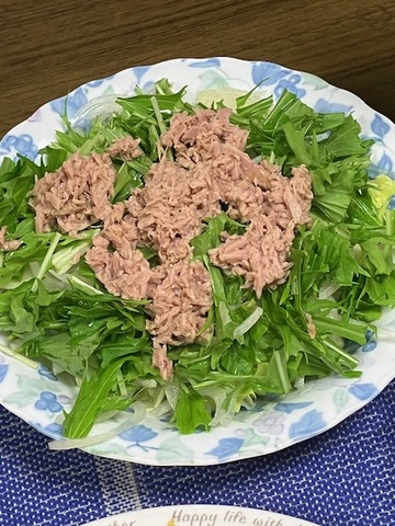 15サラダ