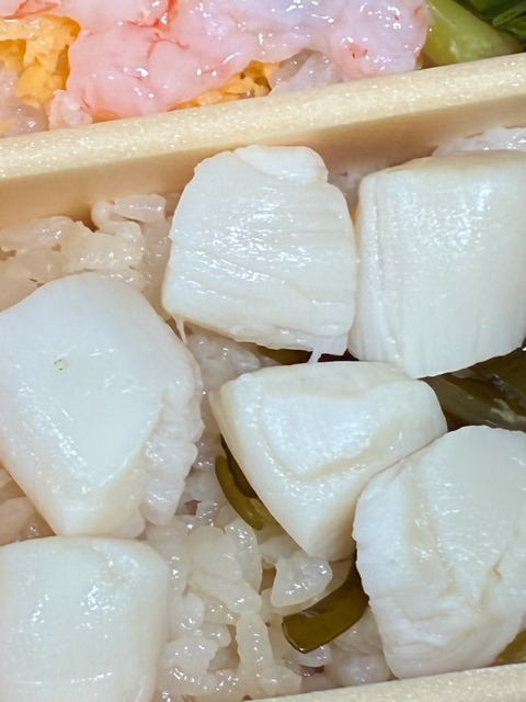 13ホタテ