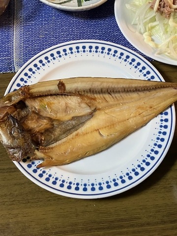 25ホッケ