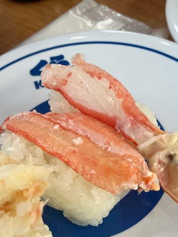 23ズワイ