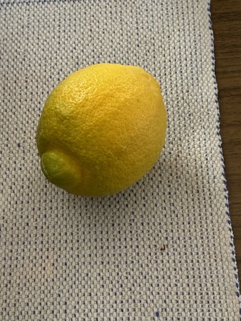 20無農薬レモン