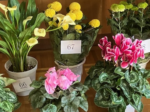 27花