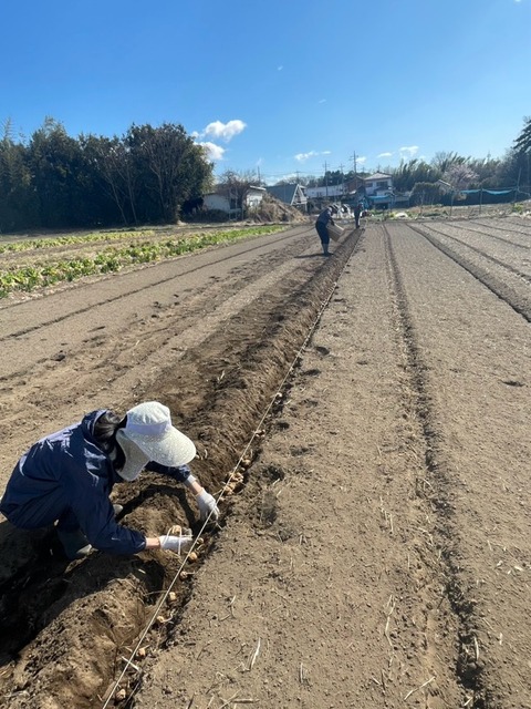 8農作業8