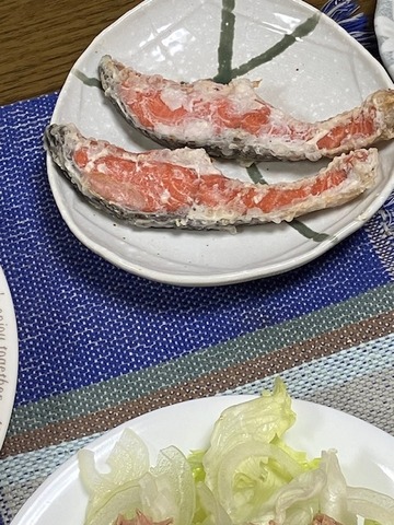 11サケ