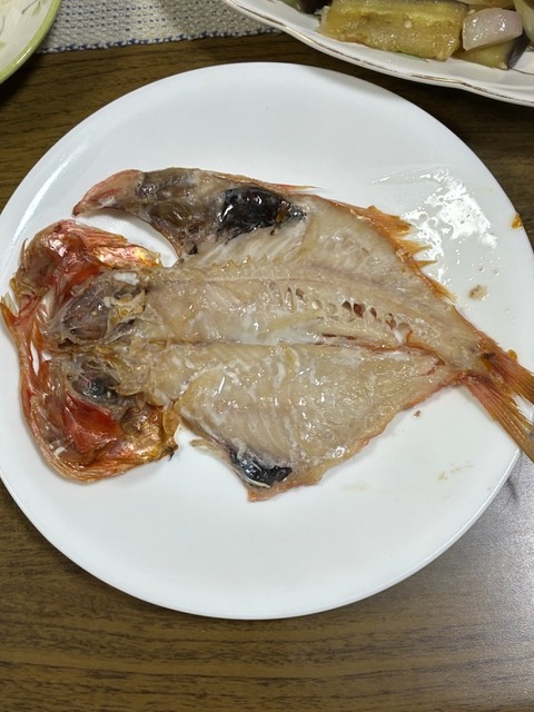 11金目鯛