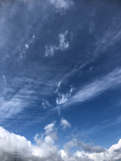 210522青空