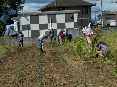 21農作業13