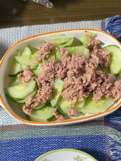 14キュウリツナ