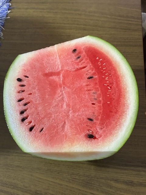 6最高のスイカ