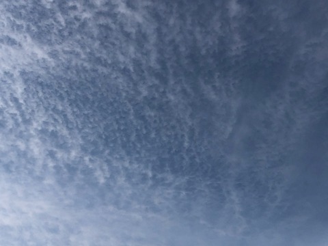 210512孔雀の雲2