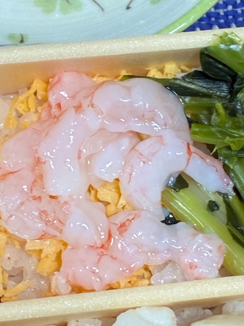 13エビ