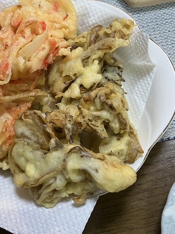 231209舞茸