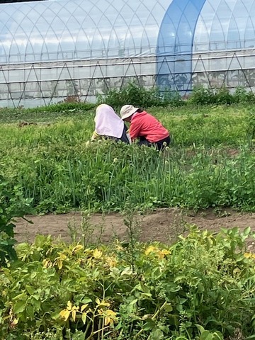 16応援隊5