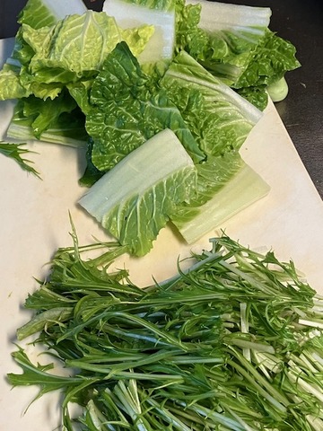 3白菜水菜