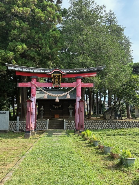 6草刈り後2