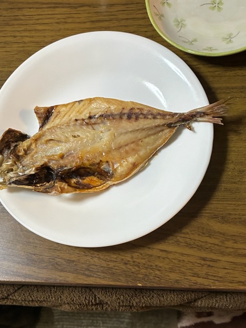 24アジ