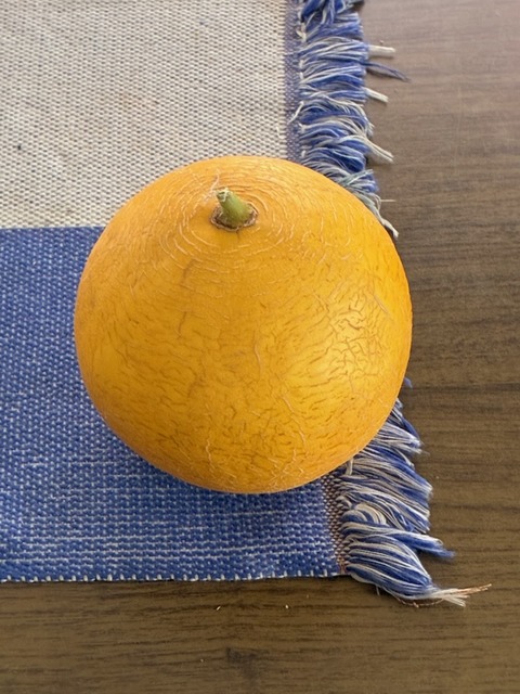 1エジプトメロン