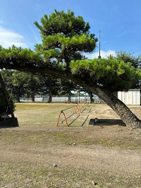 13会館の松