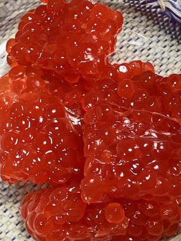 9筋子3