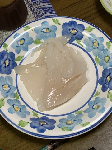 15イカ