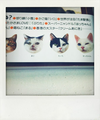 eita1970-1