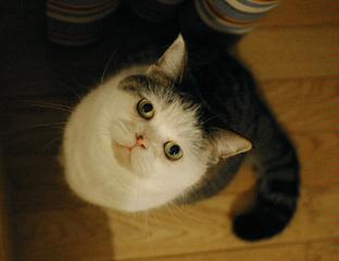 1a45357f.jpg