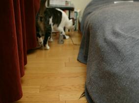 5330feb8.jpg
