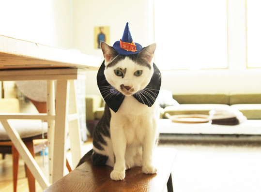 IMG_3304