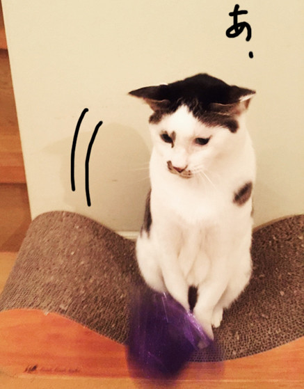 イメージのコピー