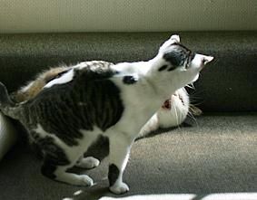 7d3837c9.jpg