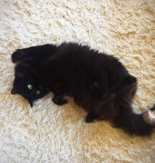 IMG_8361 のコピー