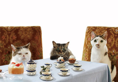 2Gku2gHrpimako---web2