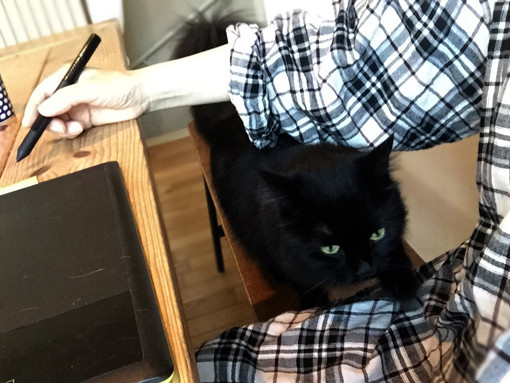 FullSizeR のコピー