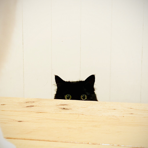 IMG_7411 のコピー